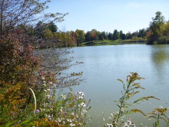 A.W. Campbell Conservation Area