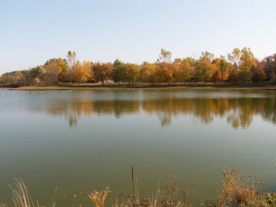 Warwick Conservation Area